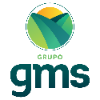 Grupo GMS